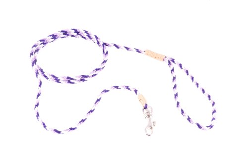 alvalley Nylon Snap Trainings Leine für Hunde 4 mm x 4 ft, X-Small, Purple - White von alvalley