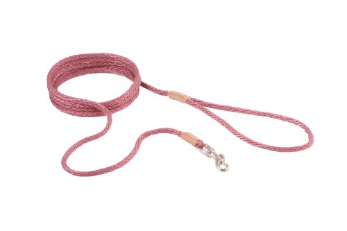 alvalley Nylon Snap Trainingsleine für große Hunde 4 mm x 6 ft, XL, Old Rose von alvalley