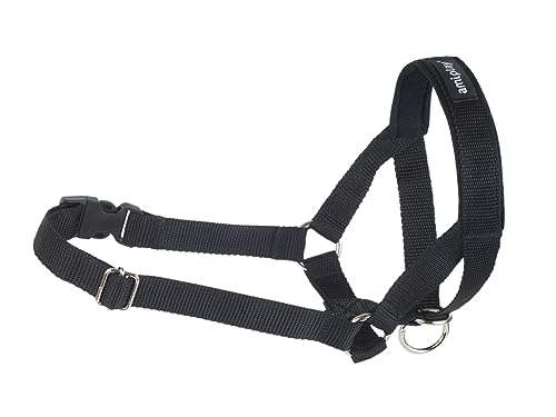 Hunde Ausbildungsgeschirr Basic XS/S/M/L/XL/XXL Amiplay (L (N4) Labrador 20-37 [a] x 45-60 [b] x 2 cm, Schwarz) von Amiplay