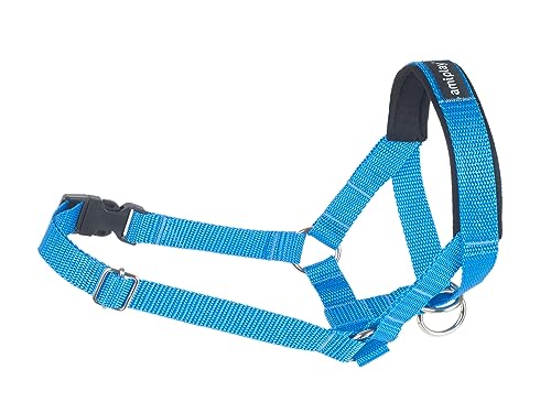 Hunde Ausbildungsgeschirr BASIC XS/S/M/L/XL/XXL Amiplay (XXL (N6) Deutsche Dogger 26-50 [a] x56-75 [b] x2 cm, Blau) von Amiplay