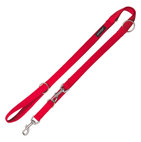 amiplay AMI Play 6 Extra Stark und verstellbare Baumwolle Hund Leine, klein, rot von amiplay