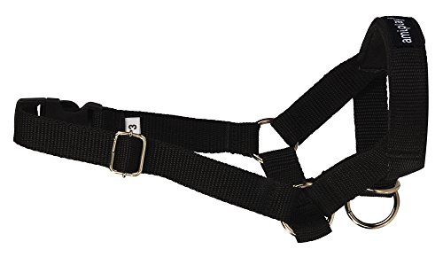 amiplay Hunde-Maulgeschirr 'Basic' | Hundemaulkorb | Erziehungsgeschirr | Maulkorb | Maulband Größen, Farbe:Schwarz, Größe:L | 20-37 [a] x 45-60 [b] x 2 cm von amiplay