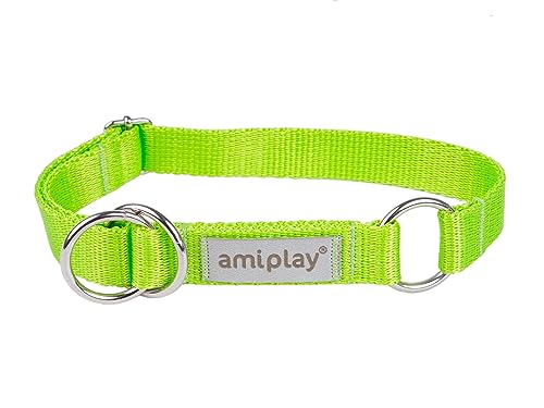 Amiplay Samba - Hunde Schlupfhalsband Halsband für mittelgroße und große Hunde. Hergestellt aus den hochwertigsten Materialien, langlebig, mit stufenloser Verstellmöglichkeit. von Amiplay