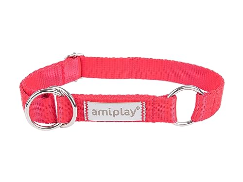 Amiplay Samba - Hunde Schlupfhalsband Halsband für mittelgroße und große Hunde. Hergestellt aus den hochwertigsten Materialien, langlebig, mit stufenloser Verstellmöglichkeit. von Amiplay