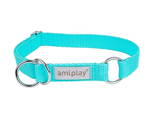 Amiplay Samba - Hunde Schlupfhalsband Halsband für mittelgroße und große Hunde. Hergestellt aus den hochwertigsten Materialien, langlebig, mit stufenloser Verstellmöglichkeit. von Amiplay