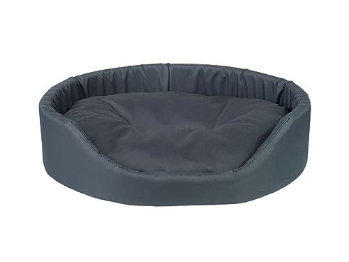 Amiplay Hundeliegeplatz/Katzenliegeplatz Oval Basic - hundebett,Waschbar, Ideal für Große Hunde und Mittelgroße Hunde, Strapazierfähiges Hundekissen mit Synthetischen Daunen und Schaumstoff von Amiplay