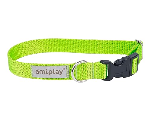 Amiplay Verstellbares Hundehalsband Samba - Robustes, Langlebiges Halsband für Kleine, Mittelgroße und Große Hunde, Stufenlos Verstellbar, Ideal für den Täglichen Spaziergang und Lange Wanderungen von Amiplay