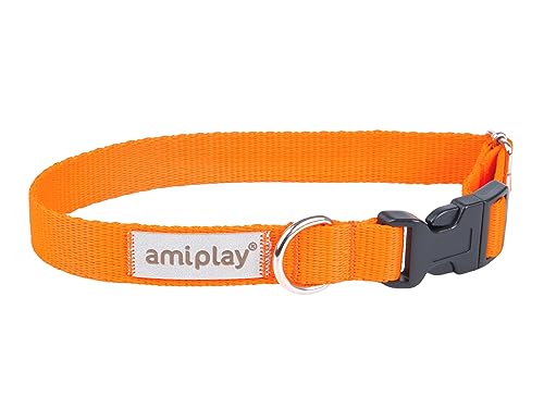 Amiplay Verstellbares Hundehalsband Samba - Robustes, Langlebiges Halsband für Kleine, Mittelgroße und Große Hunde, Stufenlos Verstellbar, Ideal für den Täglichen Spaziergang und Lange Wanderungen von Amiplay