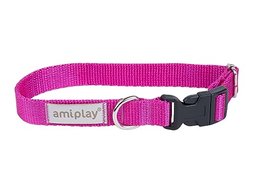 Amiplay Verstellbares Hundehalsband Samba - Robustes, Langlebiges Halsband für Kleine, Mittelgroße und Große Hunde, Stufenlos Verstellbar, Ideal für den Täglichen Spaziergang und Lange Wanderungen von Amiplay