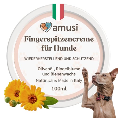 amusi Pfotencreme für Hunde 100 ml - Pfotensalbe mit Ringelblume und Bienenwachs | Heilende und Reparierende Wirkung - Pfotencreme für Hunde von amusi