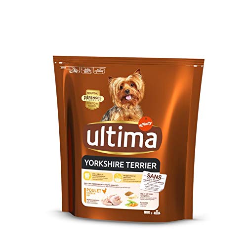 Petcare Ultima – Special Mini Yorkshire 800 g – (3 Stück) von animaux