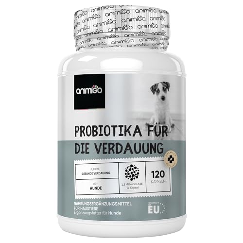 Probiotika für die Verdauung bei Hunden - 120 Darm Kapseln - Unterstützt Darmgesundheit, Magen Darmflora - Mit Lactobacillus, Leinsamen & Prebiotika - Darmreinigung & Verdauungsenzyme Hund - animigo von animigo