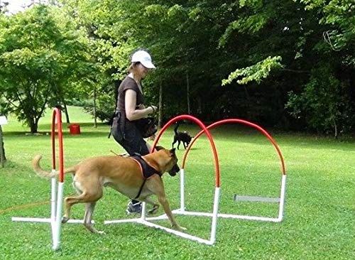 AnimoConcept Agility Run Hooper Agility Dog Accessoire von animo concept