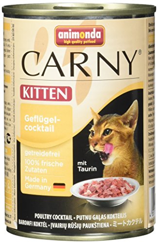 animonda Carny Kitten Katzenfutter, Nassfutter Katzen bis 1 Jahr, 6 x 400 g , Geflügel-Cocktail, 400g (6er Pack) von animonda Carny