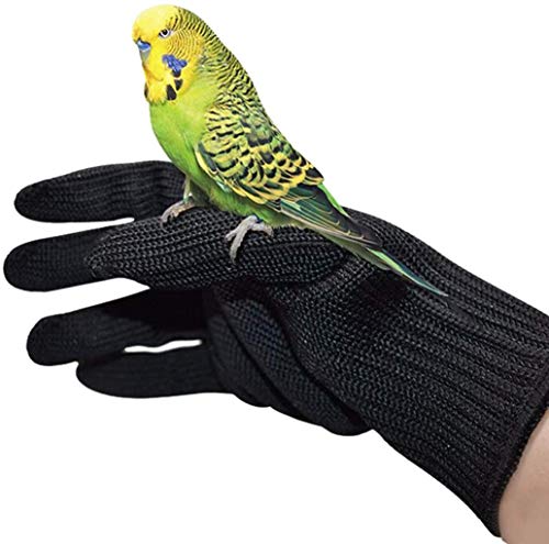 HFBlins Vogeltraining Anti-Biss-Handschuhe, Kleintier-Handschuhe, Kau-Schutzhandschuhe für Kleintiere, Haustiere, Eichhörnchen, Hamster, Papageien, Nymphensittiche, Finken, Aras, (1 Paar) von anqing