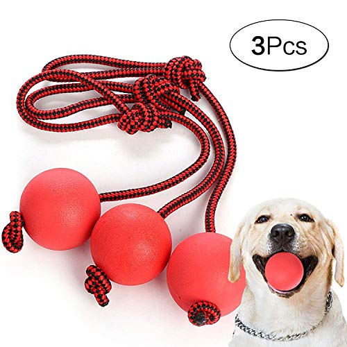 aoory Wurfball Hund 3 Stück Elastische Hundespielzeug Ball Mit Seil Naturgummiball Seil Welpenspielzeug Hund Kleine Hunde Spielzeug von aoory