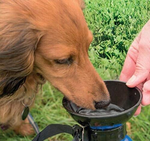 aqua pet Trinkflasche für Hunde – Flasche mit Reise Schüssel für Hunde – Schüssel Notebook – Flasche Reise von EURO MARKETING MANUFACTURING