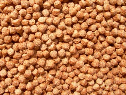 Koi Color Pellets mit Astaxanthin 2mm 3000ml, Fischfutter, Teichfutter von aquariumpflanzen.net