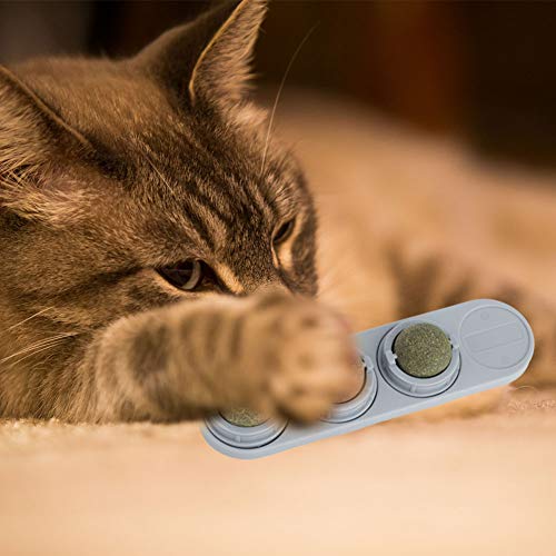 Cat Snack Lick Lick Catnip Nutrition Rund B Zähnen Haustier Spielzeugversorgungen Catnipcat Toypet Toycatnip Toycat Snack Serviert Zwecke Erhöht den Appetit der Katzen. von Denen Spielerisch die Cat Snack Lick Lick Catnip Nutrition Rund B Zähnen Haustier Spielzeugversorgungen Catnipcat Toypet Toycatnip Toycat Snack Serviert Zwecke Erhöht den Appetit der Katzen. von Denen Spielerisch die von aqxreight