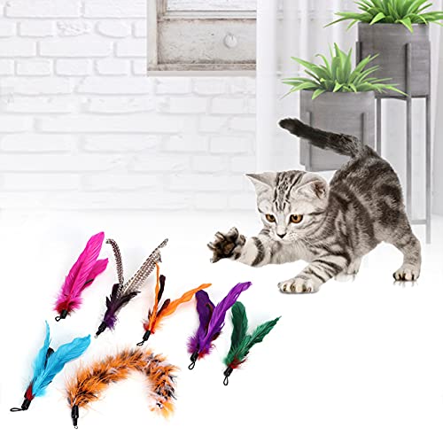 aqxreight 7 PCs Haustierkatze Teaser Dangler Toy Rods Feather Ersatz Katzen Liefert Cat Toycat Feather Toycat Interaktiv Wie Quick Can de de aqxreight 7 PCs Haustierkatze Teaser Dangler Toy Rods Feather Ersatz Katzen Liefert Cat Toycat Feather Toycat Interaktiv Wie Quick Can de de von aqxreight