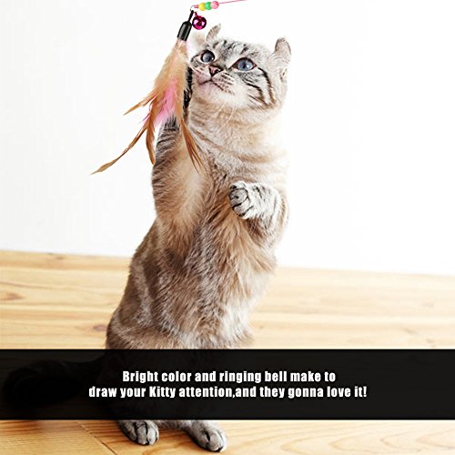 aqxreight Funny Cat Kitten Pet Play Toy Teaser Feather Draht -Verfolgungsjäger Es!. Zu. Neugier. Die. zufrieden. ihre. Und. Liebe. Spielzeug. Wird. Dein. Dein. Aufmerksamkeit. ziehen. Katzenspiel aqxreight Funny Cat Kitten Pet Play Toy Teaser Feather Draht -Verfolgungsjäger Es!. Zu. Neugier. Die. zufrieden. ihre. Und. Liebe. Spielzeug. Wird. Dein. Dein. Aufmerksamkeit. ziehen. Katzenspiel von aqxreight