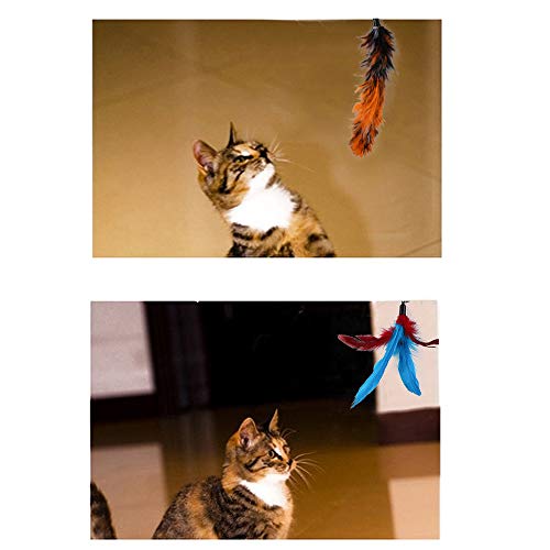 aqxreight Katzenfederstange Interaktive Feder Teaser Retractable Cat -Zauberstab 11 Stcs aqxreight Katzenfederstange Interaktive Feder Teaser Retractable Cat -Zauberstab 11 Stcs von aqxreight