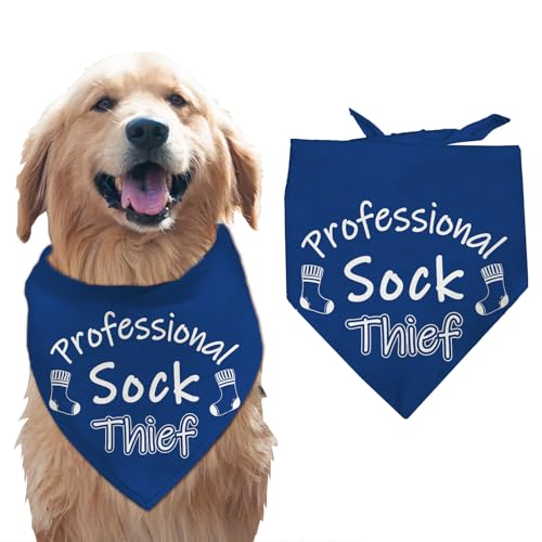 arricraft 1 Stück Haustier Hundehalstuch Dreieckiges Halstuch Aus Baumwolle Für Haustiere Mit Der Aufschrift „Professional Sock Thief“ (Professioneller Sockendieb) Zwei Socken Waschbarer Schal von arricraft