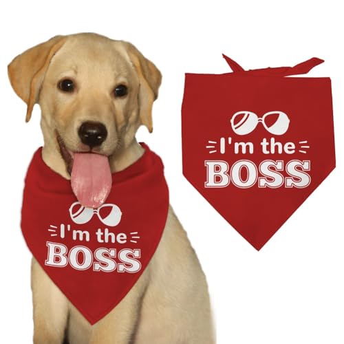 arricraft Hundehalstuch Mit Aufschrift „I'm The Boss“, 1 Stück, Haustierschal Mit Rotem Sonnenbrillenmuster, Verstellbar, Dreieckiges Lätzchen, Waschbar, Polyester, Taschentuch, Zubehör von arricraft