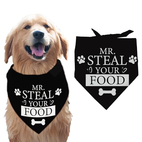 arricraft Lustiges Halstuch Für Haustiere 1 Stück Schwarzes Dreieckiges Haustier Halstuch Aus Baumwolle Mit Der Aufschrift „Mr. Steal Your Food“ Und Knochen Waschbar Schal Lätzchen Zubehör von arricraft