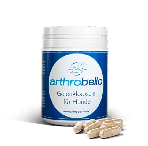 arthrobello Gelenkkapseln – Gelenk-Nahrungsergänzungsmittel für Hunde mit Glucosamin, Chondroitinsulfat, MSM, Sango Korallencalcium, Mangansulfat, Vitamin D, Galaktolipiden und L-Cystein – 120 Kapseln von arthrobello