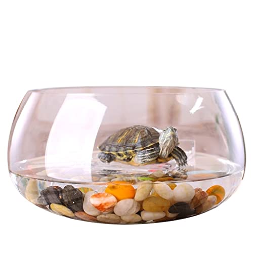 Aquarium Kreatives Rundes Transparentes Glas-Aquarium, Aquarium Für Zuhause, Büro, Aquarium, Aquarium, Wohnzimmer, Schreibtisch, Aquarium-Dekoration, Aquarium-Dekorationen von asdchZen