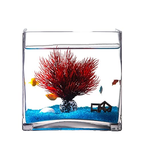 Aquarium Persönlichkeit Kreative Quadrat Glas Fisch Tank Aquarium Hause Wohnzimmer Desktop Schildkröte Tank Aquarium Dekoration Fisch Tank Dekorationen von asdchZen