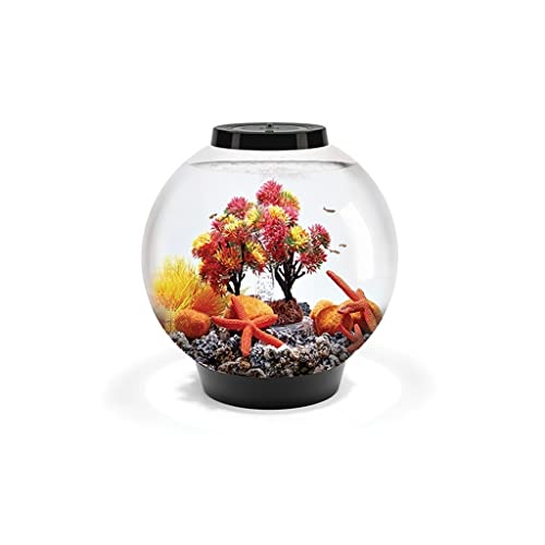 Aquarium Persönlichkeit Kreative Runde Fisch Tank Kleine Aquarium Home Interior Wohnzimmer Büro Mode Landschaftsbau Desktop Aquarium 15L Fisch Tank Dekorationen von asdchZen