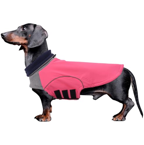 babepet Dackel-Wintermantel, wasserdicht, Miniatur-Dackelkleidung, kleine Hundejacke mit Geschirrschlitz, Dackelpullover mit Rollkragen, Haustierkleidung, ideal zum Spazierengehen, Wandern, Camping, von babepet