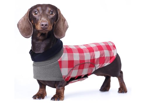 babepet Wasserdichter Wintermantel für kleine Hunde, Dackel-Colthes, Miniatur-Dackel-Jacke, Hundemantel mit Geschirrschlitz, Haustierkleidung, ideal zum Spazierengehen, Wandern, Camping, Größe L von babepet