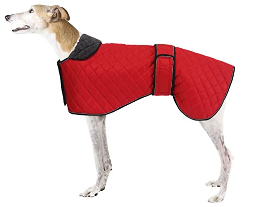 babepet Wasserfester, regenfester Hundemantel, Winterjacke mit warmem Fleece-Futter, Outdoor-Hundebekleidung mit verstellbaren Bändern für mittelgroße oder große Hunde, Rot - XL von babepet