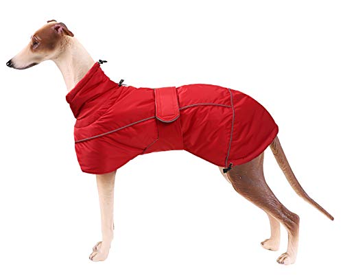 babepet Winter Hundemantel mit warmem Fleece Futter, wasserdichter winddichter jacken für Windhund,Outdoor Bekleidung mit verstellbaren Bändern,für mittlere und große Hunde-Rot-XXL von babepet