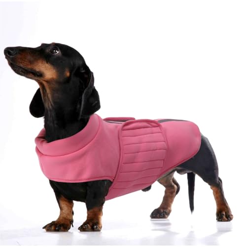 babepet Wintermantel für kleine Hunde, warme Dackelkleidung, Miniatur-Dackel-Jacke, reflektierend, verstellbar, Hundepullover mit Loch für die Leine, Hunde-Sweatshirt für Dackel, Rosa, Größe M von babepet