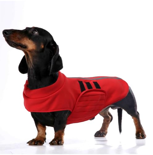 babepet Wintermantel für kleine Hunde, warme Dackelkleidung, Miniatur-Dackel-Jacke, reflektierend, verstellbar, Hundepullover mit Loch für die Leine, Hunde-Sweatshirt für Dackel, Rot, Größe L von babepet