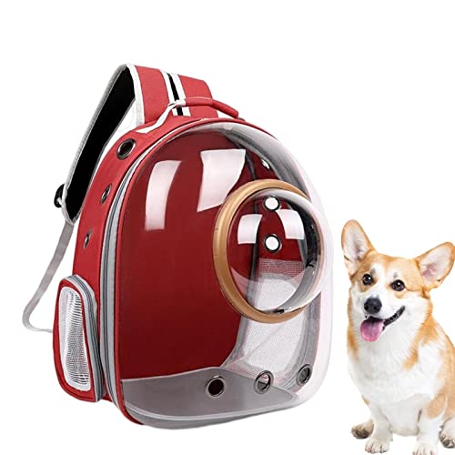 backlight Klarer Katzenrucksack, Hundewanderrucksack mit Netz, Hundetrage-Reisetasche, durchsichtiger Haustier-Rucksack, von Fluggesellschaften zugelassene Sicherheit und weiche gepolsterte von backlight