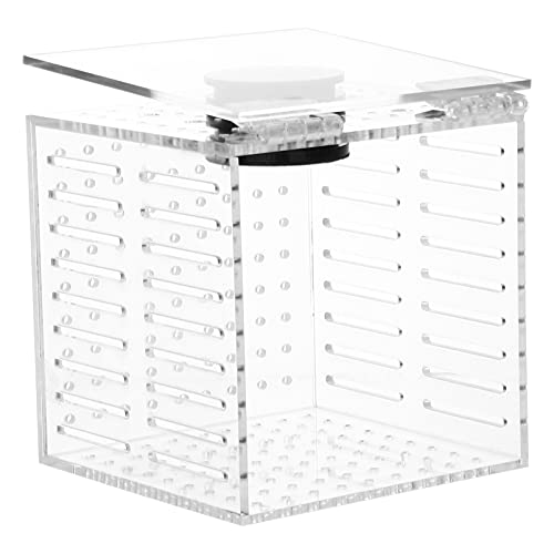 1 Stück Karton Isolationsbox Für Aquarien Aquarien-isolationsbehälter Behälter Für Die Fischzucht Fall Fischzucht Becherzubehör Halter Für Fischinkubator Aquarium Acryl Guppys von balacoo