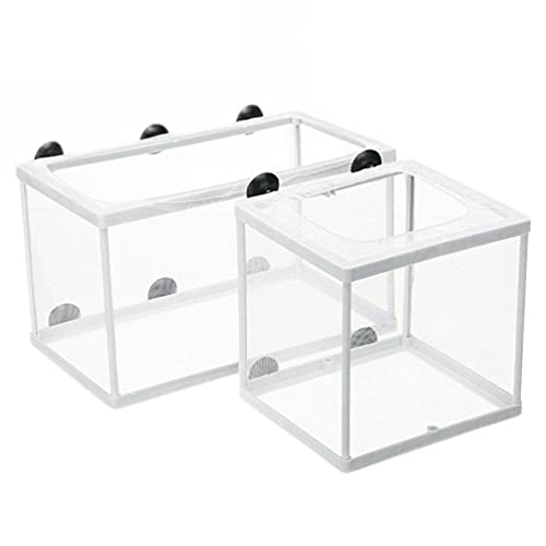 Balacoo 2Pcs Aquarium Fisch Kindergarten Fisch Zucht Net auf Züchter Box Fisch Isolation Box Aquarium Akklimatisierung Brüterei Inkubator für Baby Garnelen Clownfish Guppy Weiß von balacoo