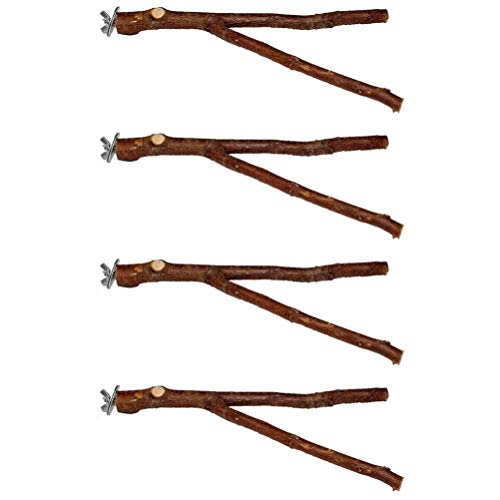 Balacoo 4Pcs Vogel Sitzstangen Holz Pol Vogel Stehend Sticks Vogel Stehen Spielt für Lovebirds Nymphensittich Sittich Conure Käfig Zubehör von balacoo