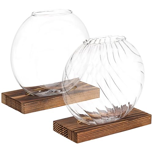 Balacoo Pflanzen -Terrarium Mit Holzbasis: 2 Pcs -Glaspflanzer Für Innenpflanzen Hydroponische Blumentöpfe Desktop -Glas -Pflanzer Vase Für Home Office von balacoo