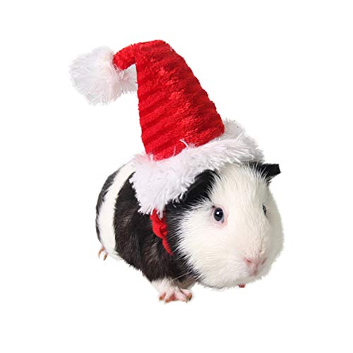 Balacoo Meerschweinchen Kostüm - Katze Weihnachtsmütze Haustier Weihnachtsmütze Weihnachtsmann Mütze Kopf Zubehör für Kaninchen Hamster Meerschweinchen Ratten Kätzchen und Kleintiere von balacoo