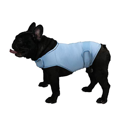 balancepaw Donnerjacke für Hunde, Angstlinderung, Hunde-Angstweste, beruhigende Pflege für Trennung, Gewitter, Reisen, Feuerwerk, Tierarztbesuche (Blau, M) von balancepaw