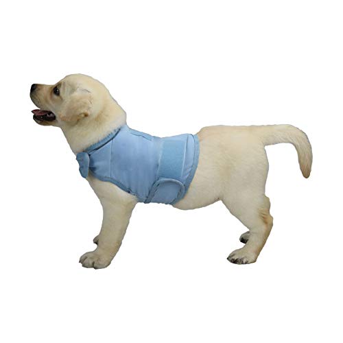 balancepaw Donnerjacke für Hunde, Angstlinderung, Hunde-Angstweste, beruhigende Pflege für Trennung, Gewitter, Reisen, Feuerwerk, Tierarztbesuche (Blau, S) von balancepaw