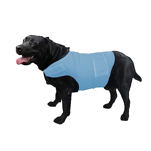 balancepaw Donnerjacke für Hunde, Angstlinderung, Hunde-Angstweste, beruhigende Pflege für Trennung, Gewitter, Reisen, Feuerwerk, Tierarztbesuche (Blau, XL) von balancepaw