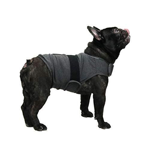 balancepaw Donnerjacke für Hunde, Angstlinderung, Hunde-Angstweste, beruhigende Pflege für Trennung, Gewitter, Reisen, Feuerwerk, Tierarztbesuche (Grau, M) von balancepaw