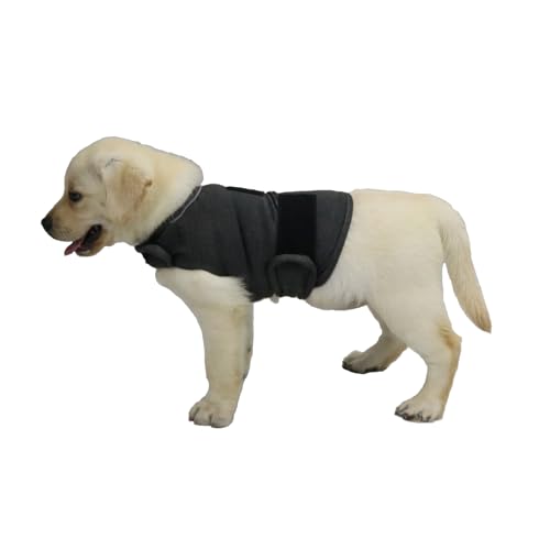 balancepaw Donnerjacke für Hunde, Angstlinderung, Hunde-Angstweste, beruhigende Pflege für Trennung, Gewitter, Reisen, Feuerwerk, Tierarztbesuche (Grau, S) von balancepaw